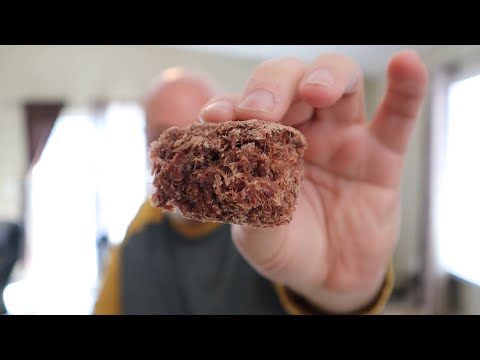 9 month old pemmican, is it still good?