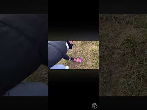 Petardi DumBum 5g Silver VS DumBum 5g Gold #petardi #fireworks #pyro #botti #capodanno #dumbum