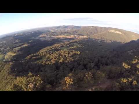 Heaton State Forest - Watagan Mountains