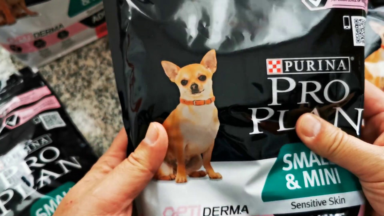 Watch Pienso seco rico en salmón para perros adultos de raza pequeña y cachorros, Purina ProPlan Salmón Now Pienso seco rico en salmón para perros adultos de raza pequeña y cachorros, Purina ProPlan Salmón