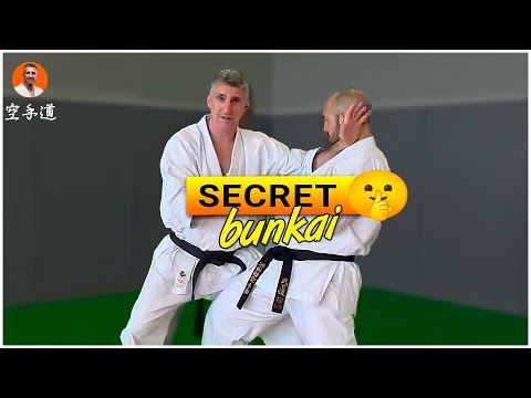 Le Secret du Bunkai