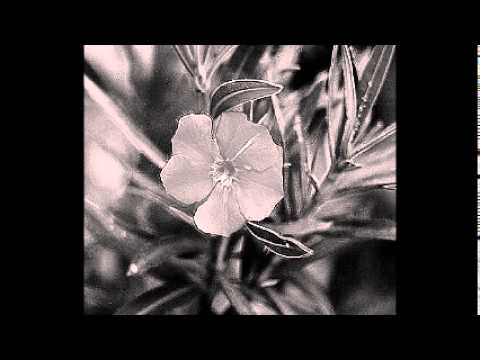 Y TE DEJE PARTIR - tango