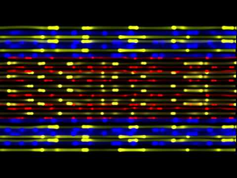 Club Visuals 360 - Free VJ Loop HD