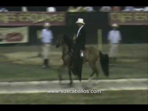 añoranza hija de centuaro del limon