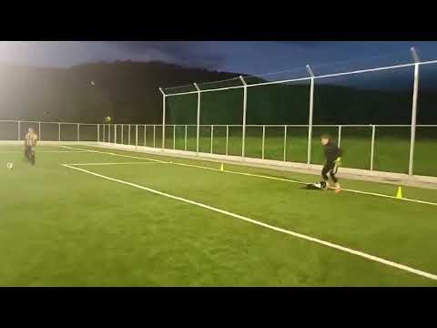 Miniatură video