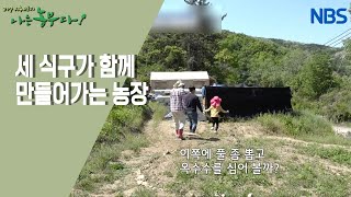[꿀이야 금이야 달콤한 꿀벌 가족] 아직은 초보 농사꾼