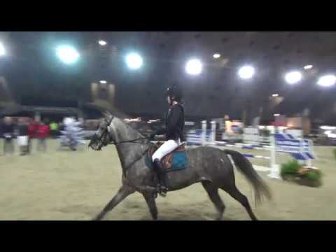 SAMBA VAN DE GROENHEUVEL