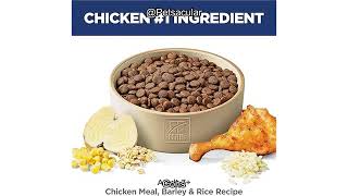 Hill's Science Diet Adult 7+ Dog Food Review: Is It the Best
