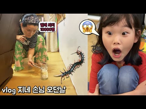 , title : 'vlog 지네소탕 작전 😱😱😱라임이네 일상 브이로그 12시간 | 비빔면 먹방과 마인크래프트 쇼핑 | centipede eradication campaign'