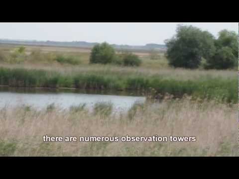A Video Guide to Hungary: the Hortobagy