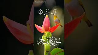 Download lagu Surah Fajr | Surah Al-Fajr {Full HD Arabic text HD} Beautiful Recitation Fajr Surah | Muslim Quran mp3