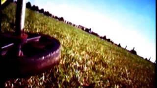 Colorsound - Fly With Me