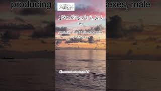 Download lagu Surah Qiyamah Ayat 39 #shorts #quran #fatihseferagic mp3 Download lagu Surah Qiyamah Ayat 39 #shorts #quran #fatihseferagic mp3