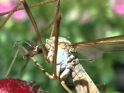 what a wonderful world KW