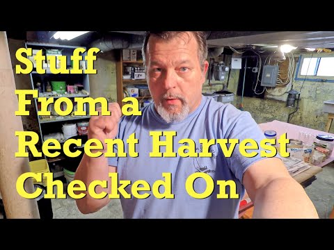 Loose ends from recent harvest of outdoor worm bag (v3.0) - vermicompost