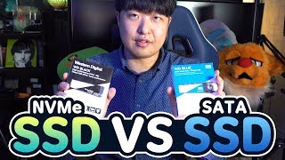 [사용기] 웨스턴디지털 블랙 3D NVMe SSD (WD Black 3D M.2) 속도 테스트