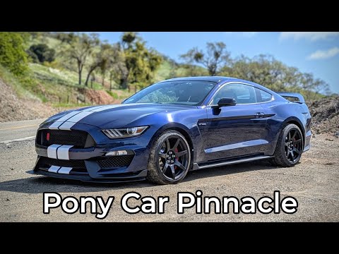 Testbericht zum Ford Shelby Mustang GT350R 2018 – Das ultimative Muscle-Car für Fahrer?