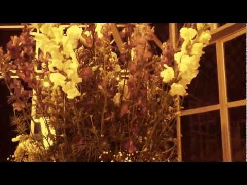 A TERRA AONDE ESTOU - FLOR DE JAGUBE - MARIA DAMIÃO 14