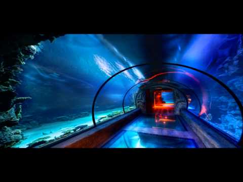 Fabio Lendrum - Out Of Water (Remix)