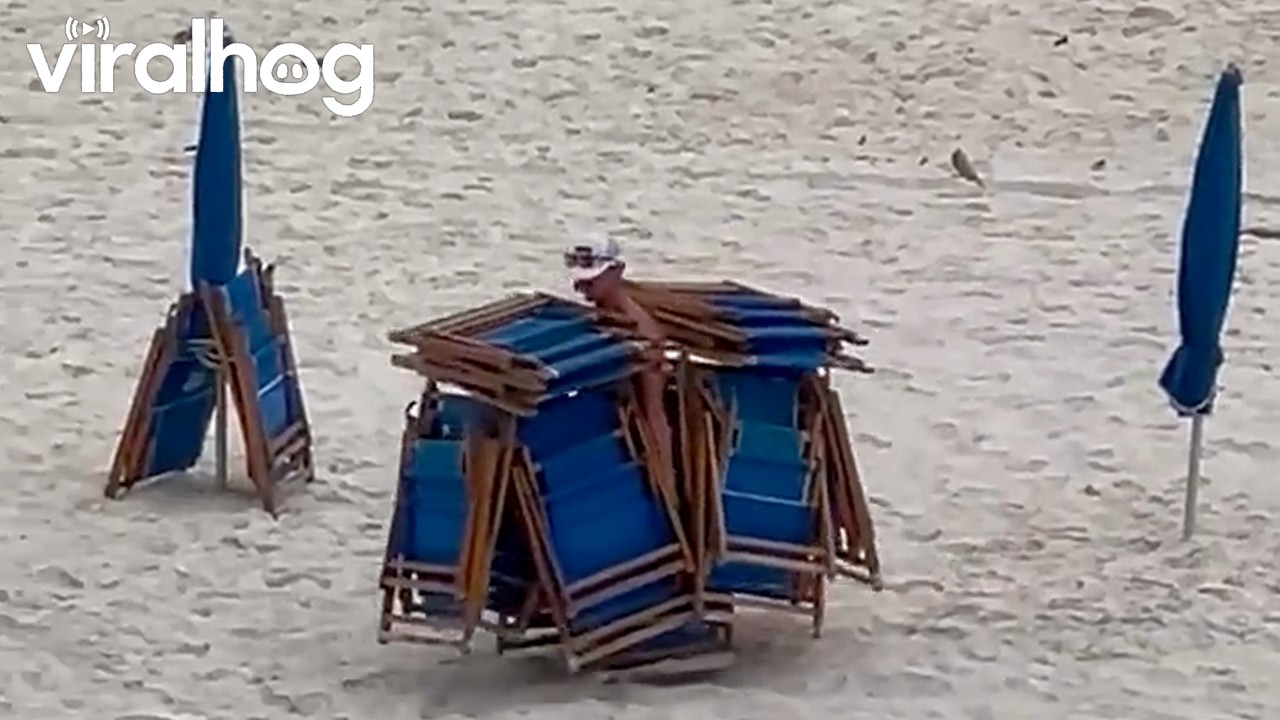 Gulf Shores Chair King || ViralHog