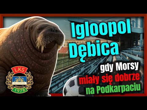 Igloopol Dębica in the top league - when Morsy were doing well in the Podkarpacie region