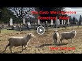 Cust-West Eyreton Cemetery, South Island, New Zealand