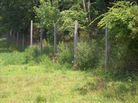 Viktor Tretyakov. Paganini Concerto #1, 3rd mvnt