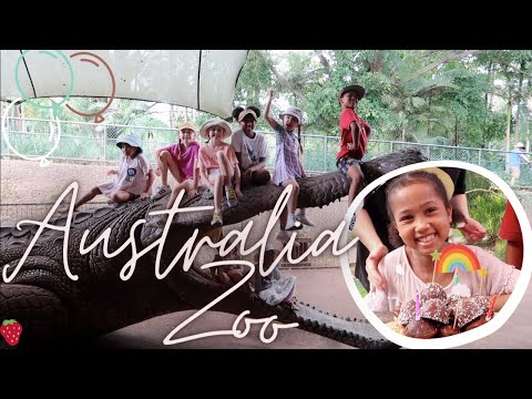 Celebrating Everly | Australia Zoo | vlog