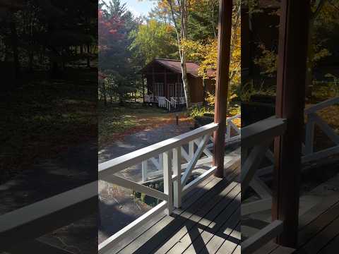 Joe in the beautiful autumnal surroundings of his composing hut in Japan, inspired by Mahler’s🎼
