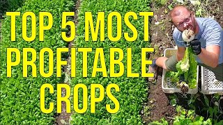 My 5 Most Profitable Crops