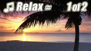CARIBBEAN MUSIC #1 BAHAMAS Tropical Beach Songs Instrumental Tiki Bar Island Music Ocean Luau Party