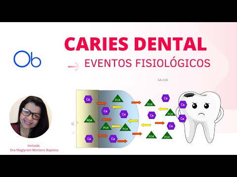 Caries Dental : Eventos fisiológicos