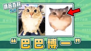 Download lagu 最洗腦的一集⚡⚡⚡！“巴巴博一/BaBaBooey”是什麽迷因？【迷因百科】#巴巴博一 #BaBaBooey #蛋貓 #luna #lunaistabby #哈基米 #meme #音效梗 #迷因 mp3