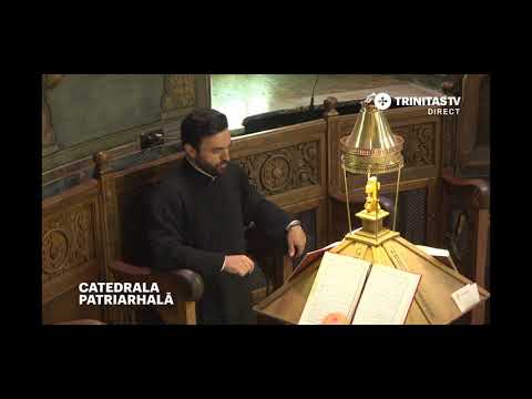 Stihirile Stihoavnei la pom. Sfântului Muc. Pantelimon glasul 1 - Psalt. Constantin Hurjui