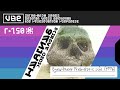VHS Eyewitness Prehistoric Life 1996