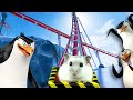 Hamster in Antarctica Rollercoaster with Penguin