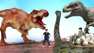The Best of Dinosaur T-Rex Attack | T-Rex vs Giant Spider | Jurassic Park 4 | Dinosaur | Ms Sandy
