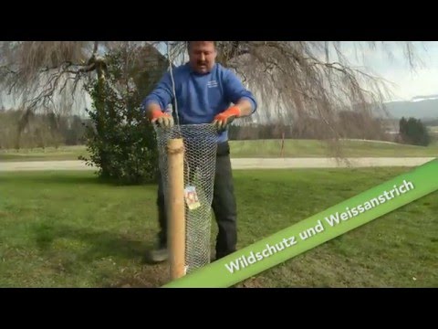 Baumschnitt Folge 09 - Wildschutz