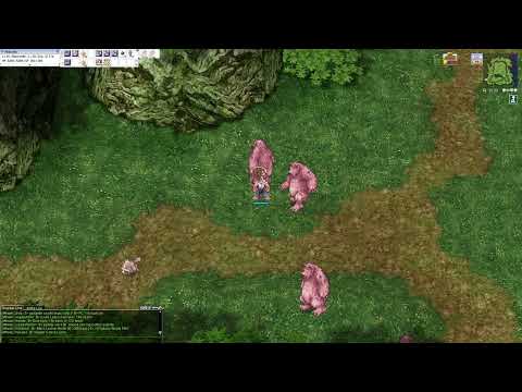 Ragnarok Online | Theme Extended Payon Forest