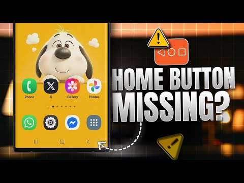 How to Samsung Home Button Missing? Fix Navigation Bar Not Working on Any Galaxy Phone!