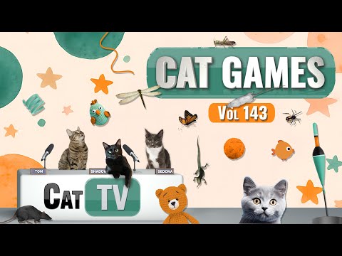 CAT Games | Ultimate Cat TV Compilation Vol 143 | 8 HOURS  🐝🐞🦋🦎🦜🐜🐭🧵