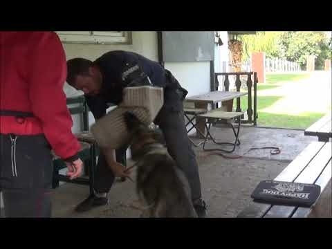 Jagira Aykmar - 9/2019