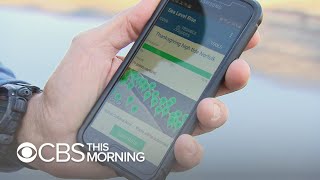 King Tides: Using an app to measure rising sea levels