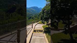 Download lagu MITOHA - HETTY KOESENDANG #mitoha @HettyKoesEndangMusica #alhambragranada #sasamavillage mp3