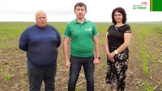 Ссылка