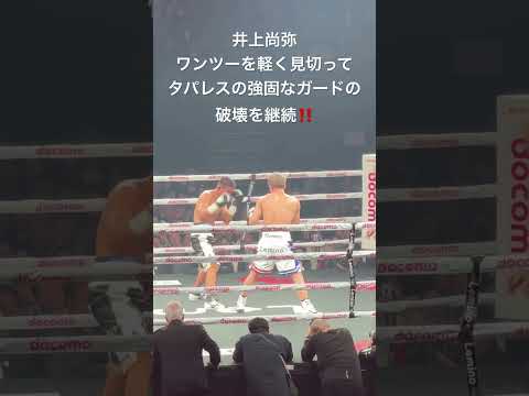 井上尚弥 ワンツーを軽く見切ってタパレスの強固なガードの破壊を継続‼️