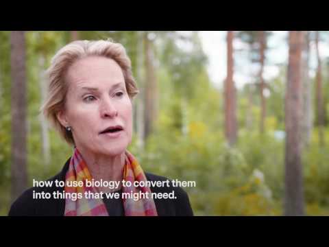 Millennium Prize Winner Professor Frances Arnold at EMBO Conference