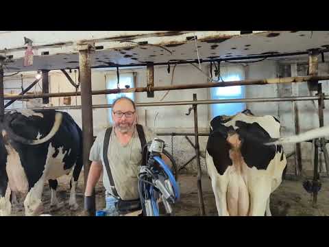 a cow on the Harvestore, a chopper box in the hay mow, and a big river.