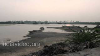 A salt field at Machilipatnam 