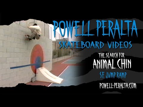 THE SEARCH FOR ANIMAL CHIN CH. 3 SF JUMP RAMPS